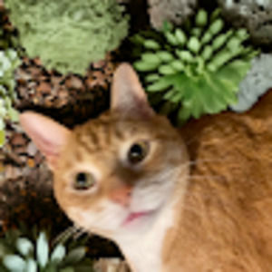 Meet your Posher, Morales